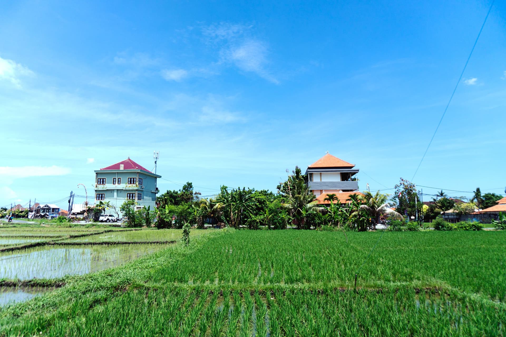 3 weeks in Bali + vegan & vegetarian guide