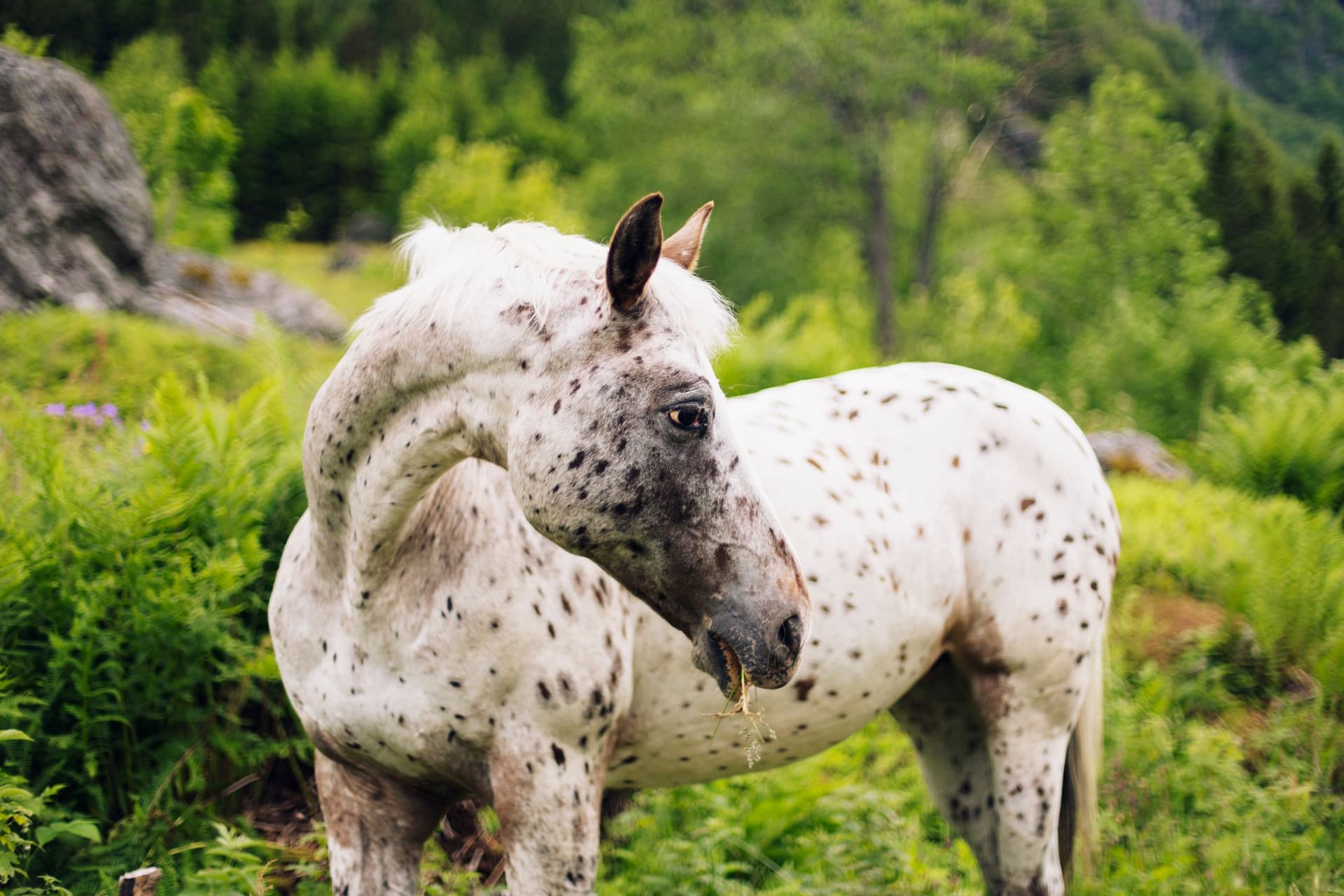 Odda (Norway & Sweden 2015, Part II)