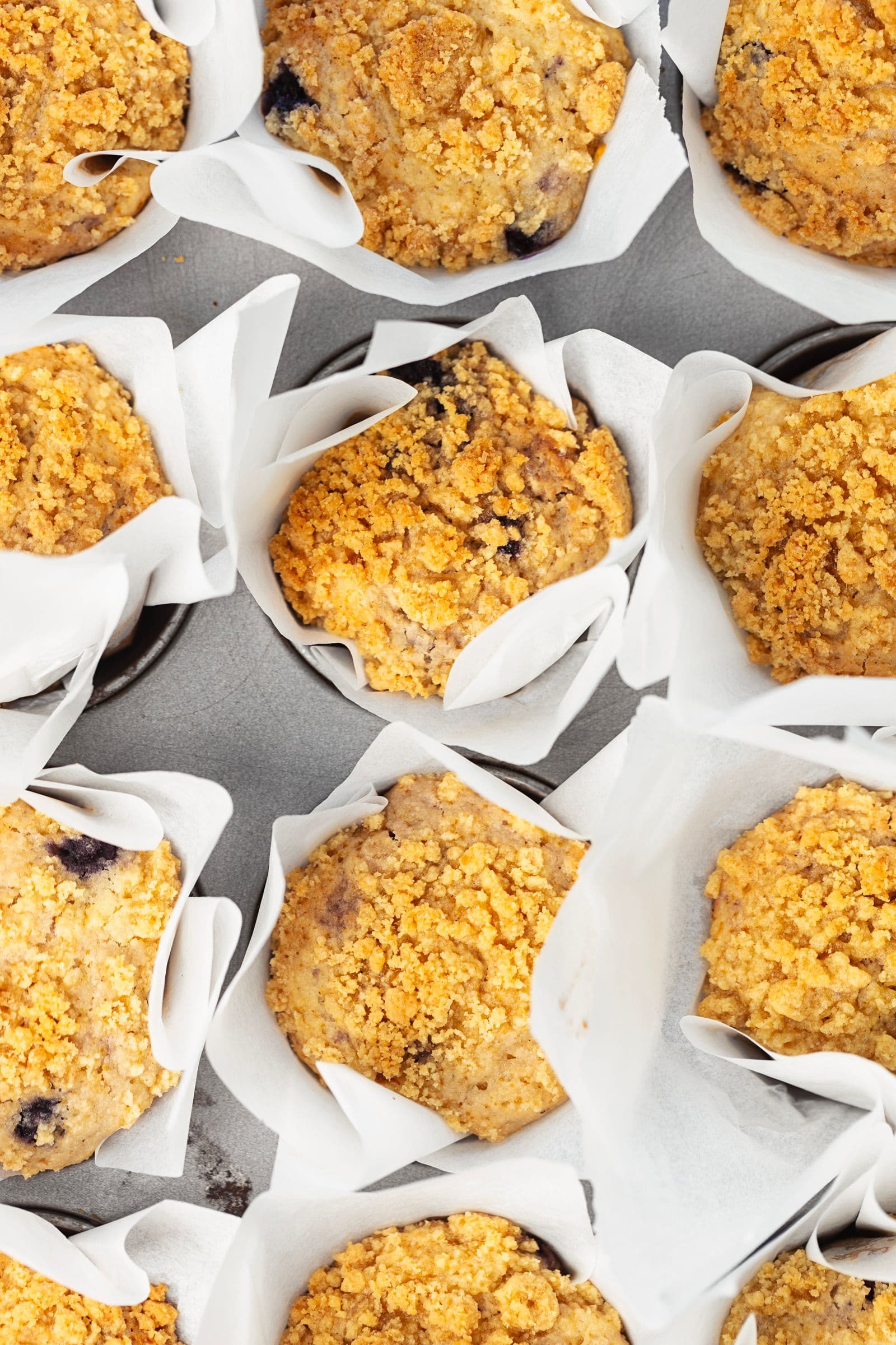Freshly baked lemon and blueberry streusel muffins cooling in the muffin tin.