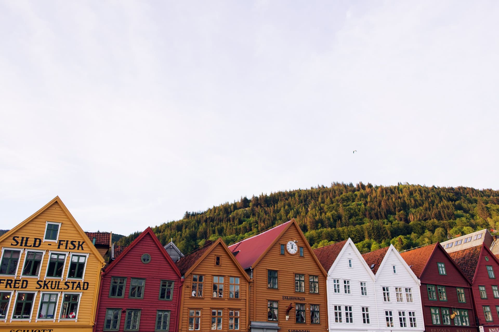 Bergen (Norway & Sweden 2015, Part I)